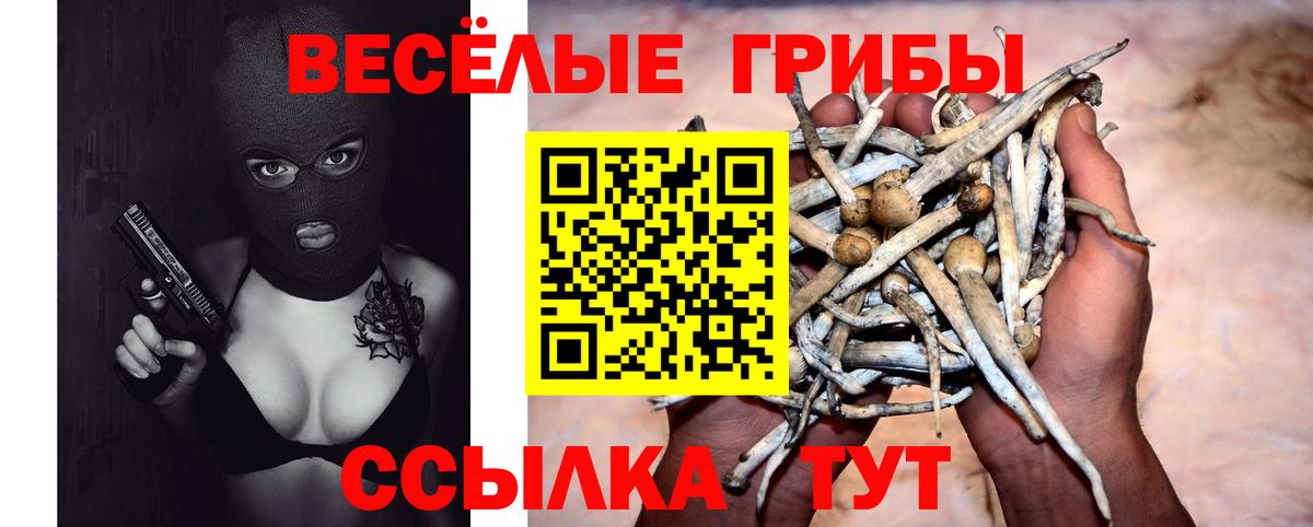 Псилоцибиновые грибы MAGIC MUSHROOMS  Вход с VPN  где найти наркотики  Советск 